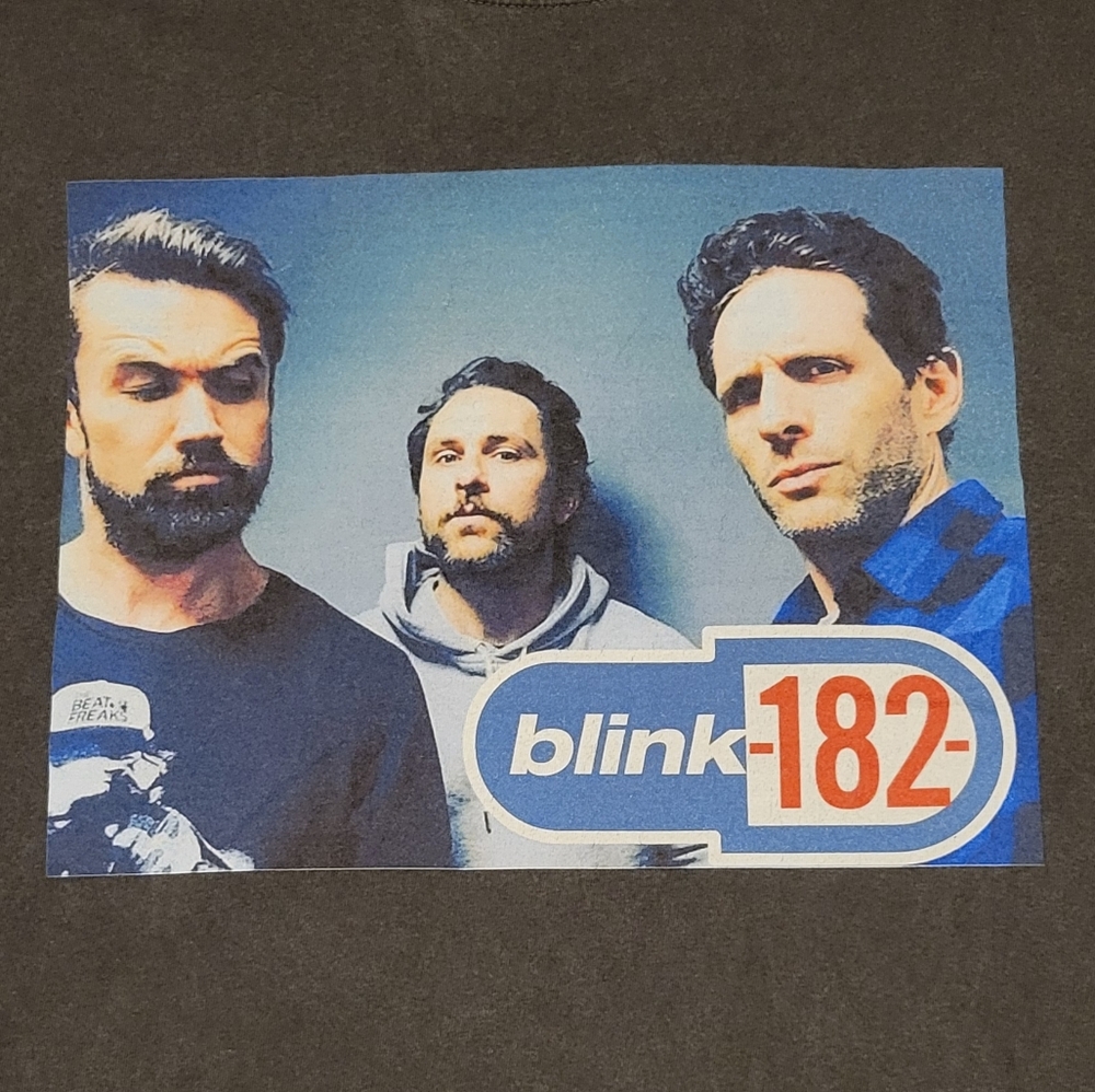XL blink-182 / It's Always Sunny in Philadelphia Grey Comfort Colors Tshirt Tee